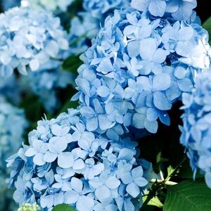 Custom bundle for Breann